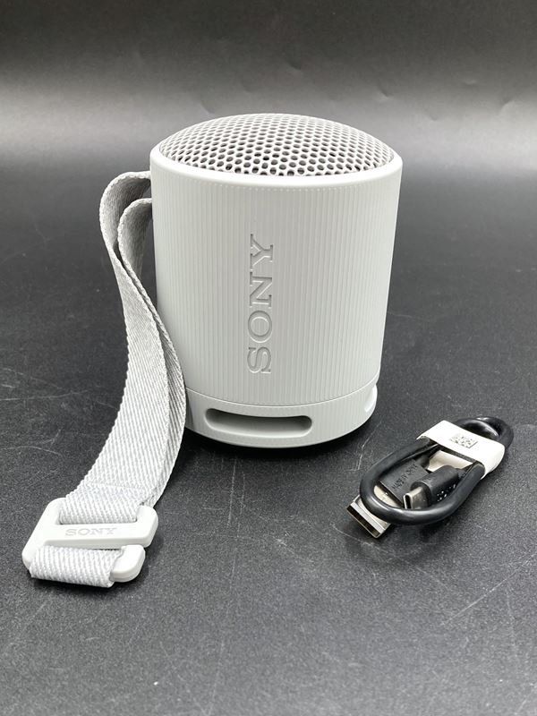 Sony Casse acustiche: SONY | Wireless Speaker | XB100 | Hellgrau – Nuovo (secondo la descrizione) da Wittenbach venduto da Restwert_St-Gallen 3