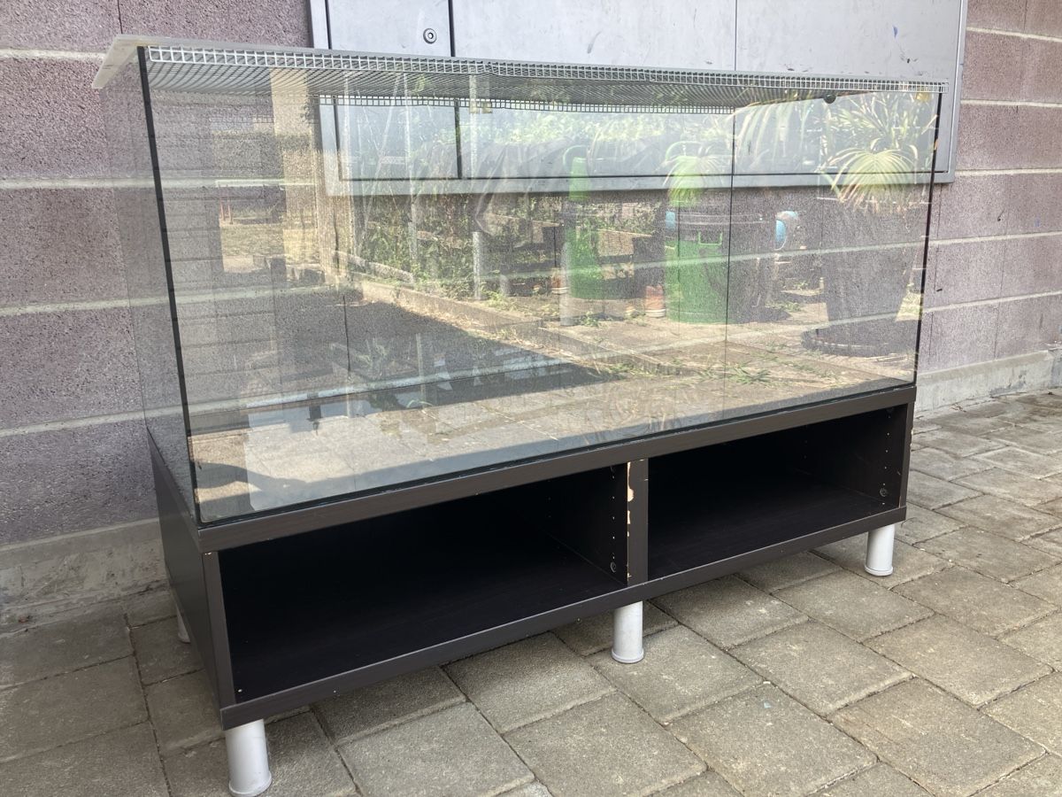 Terrario: Terrarium 120x50x50 – Usato da Hagenbuch ZH venduto da jan011