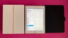 Apple iPad Wi- Fi 128GB- Gold (5.Generation)