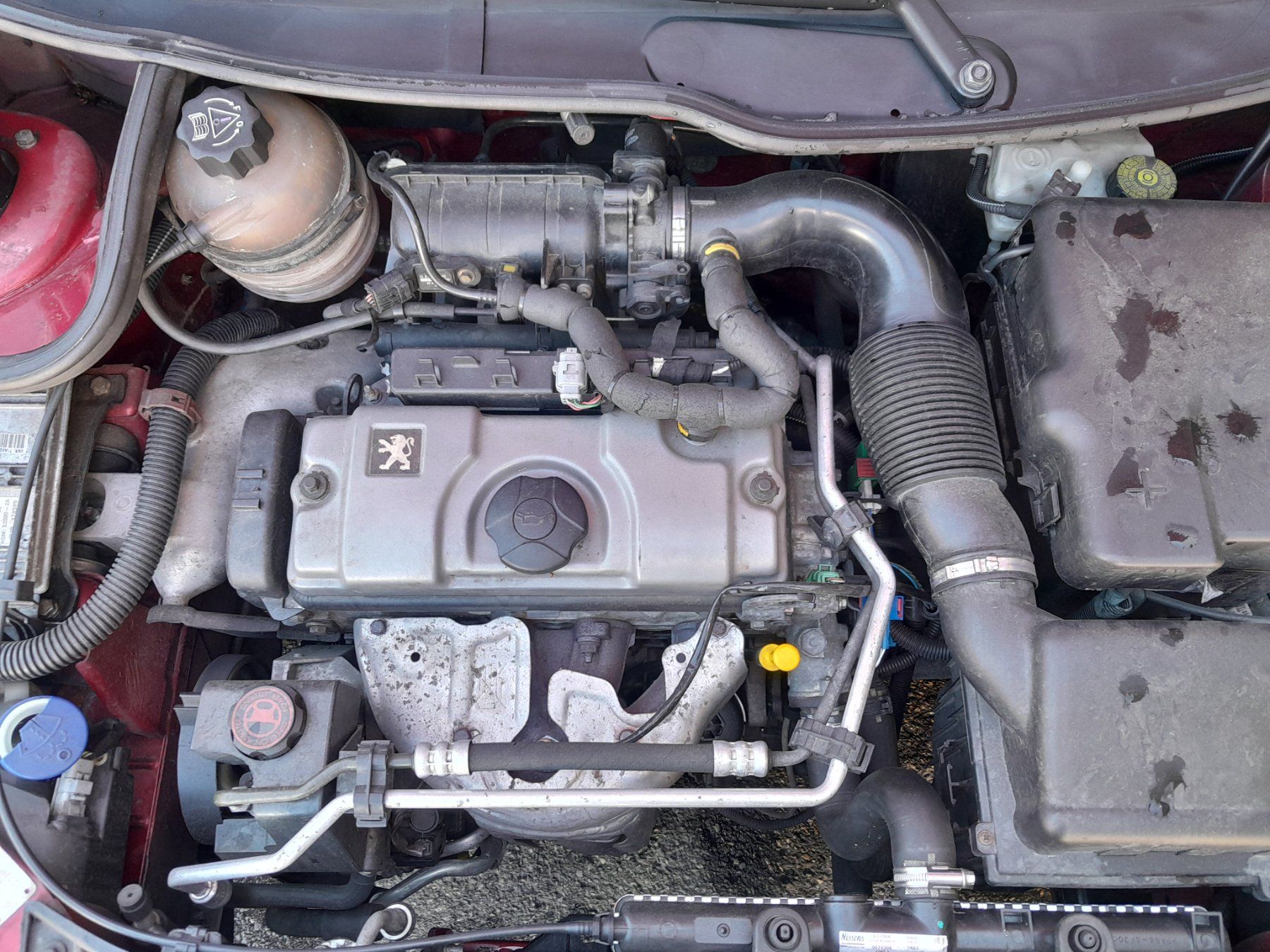 Peugeot Automobili: Peugeot 206 1.4 8v JG. 2004 – Difettoso da Ebnat-Kappel venduto da MAZUKITURB0 8