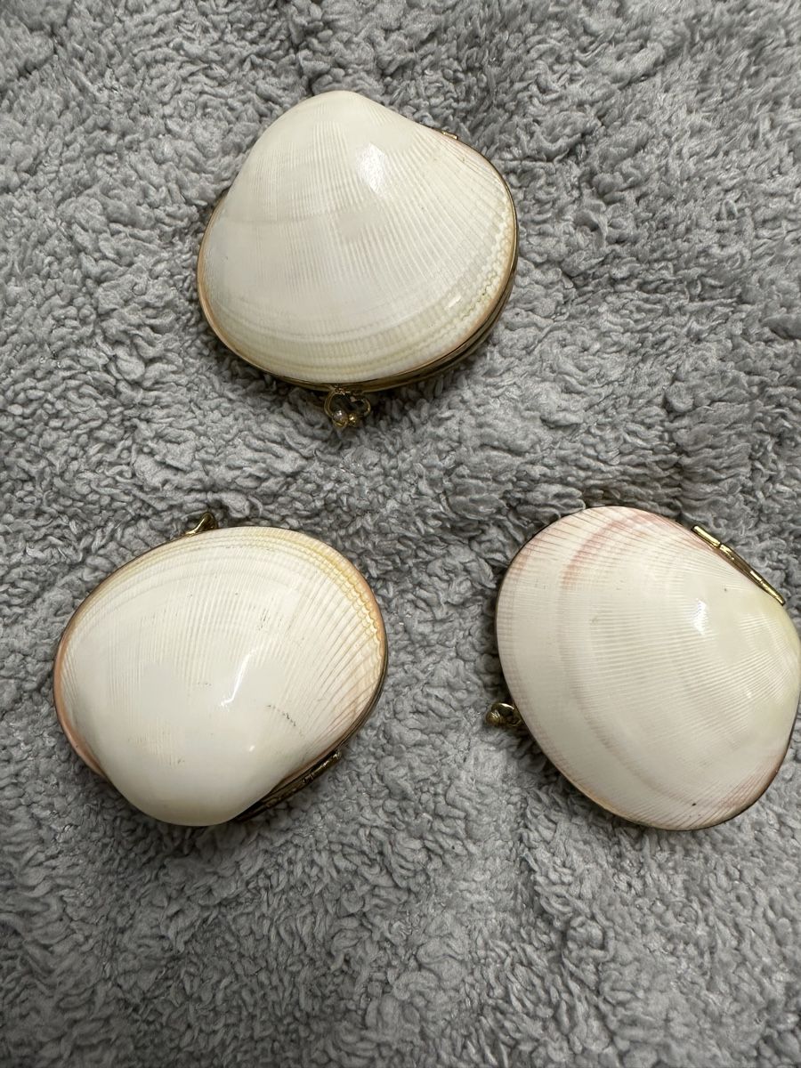Tutte le decorazioni: Antike Pillendose Muscheln  – Usato da Oberentfelden venduto da vilibrand 2
