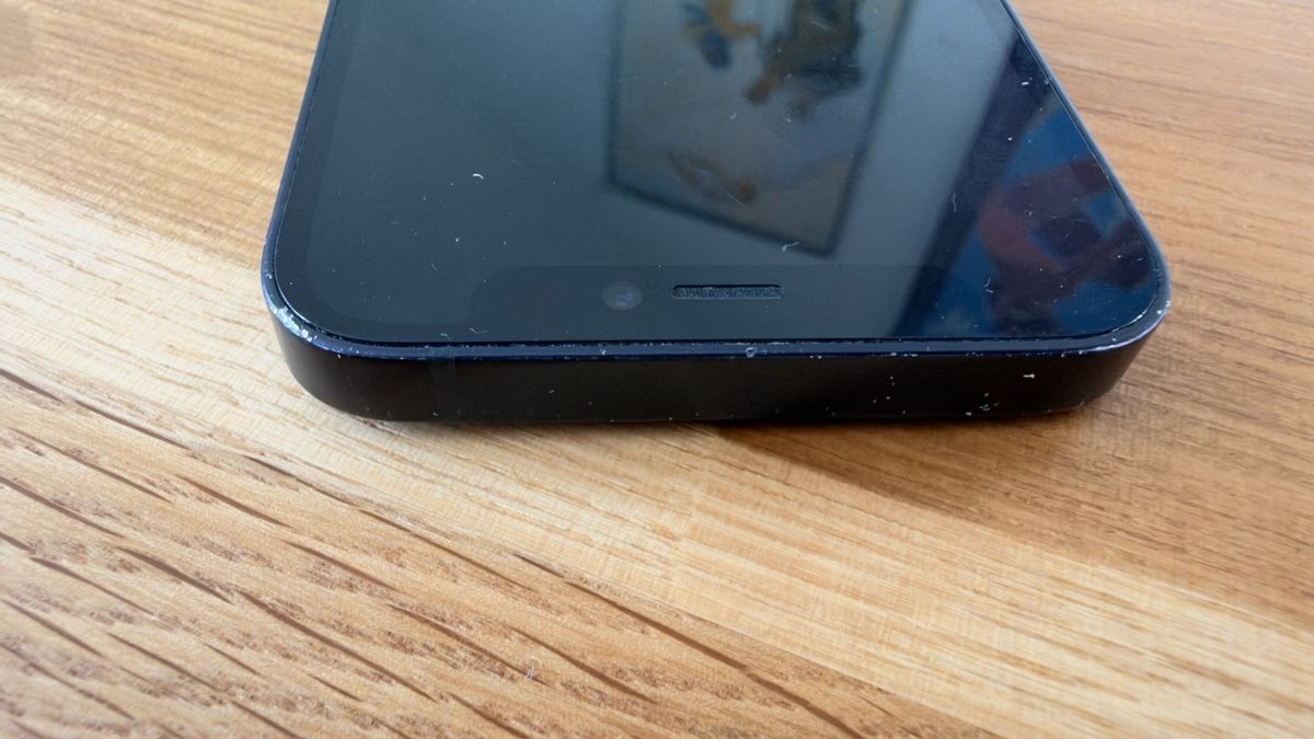 Apple Telefoni cellulari / Smartphones: Apple iPhone 12 mini schwarz – Usato da Luzern venduto da Bussme 1