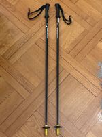 Bâtons de ski Intersport,  100 cm