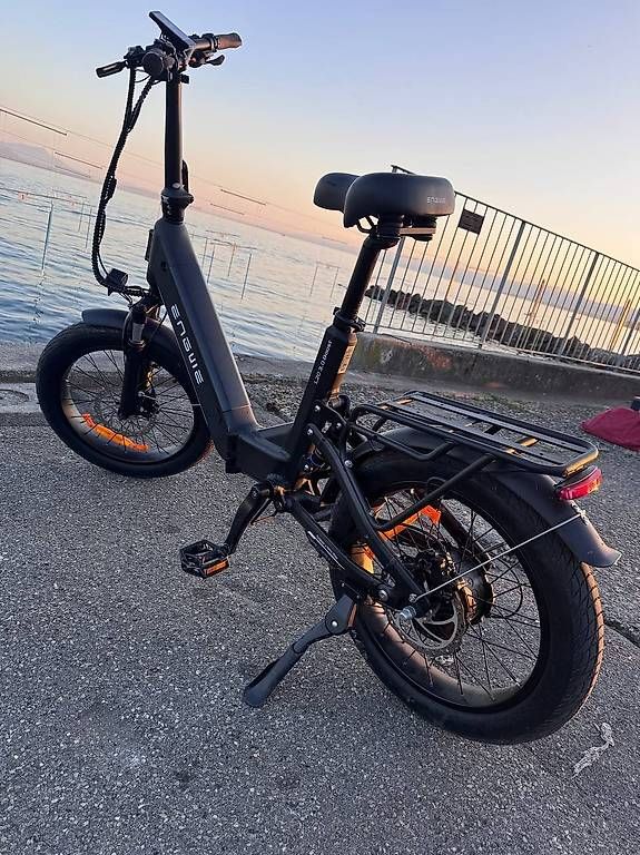 Biciclette: Vélo électrique Engine Pro 3.0 Boost – Usato da Lausanne venduto da wis_bm5k 3