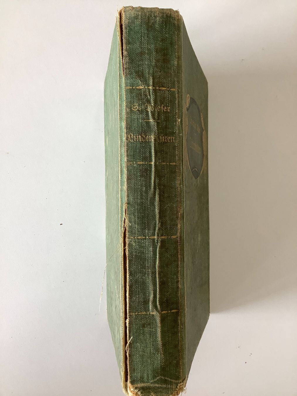 Libri: Antikes Buch von 1908 – Usato da Triesen venduto da boston7 1