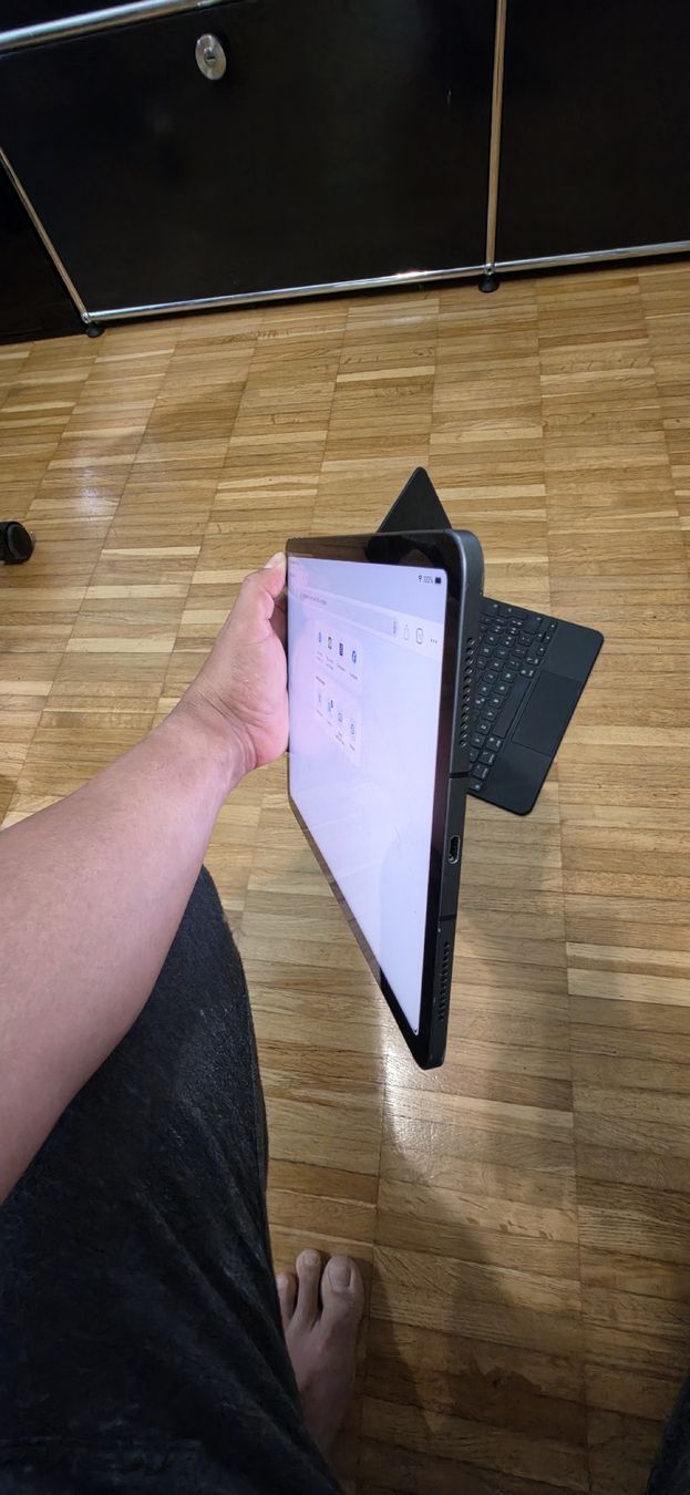 Apple Tablet PC: iPad Air 256G 4G – Usato da Oberglatt ZH venduto da mirovalenta 6