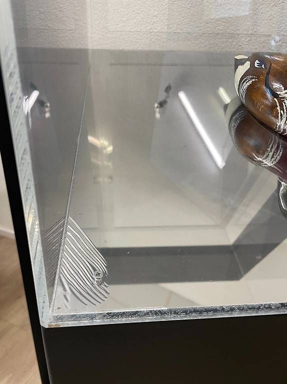 Vetrine: Mobile Vitrine mit Acrylglas und Schloss auf Rollfuss – Usato da Obernau venduto da Arche_Noah_Brocki 5
