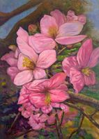 Apfelblüte, Öl auf Leinwand, 50x70cm