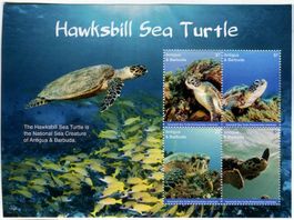 Block "Schildkröten". Antigua und Barbuda.