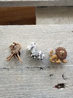 3er Set Tierli für Crocs: Löwe, Zebra, Giraffe. Top!
