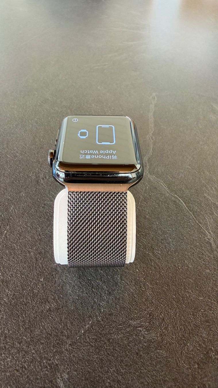 Apple Smartwatch: Apple Watch Series 3 STAINLESS STEEL VERSION – Usato da Hinwil venduto da Buddy2001 4