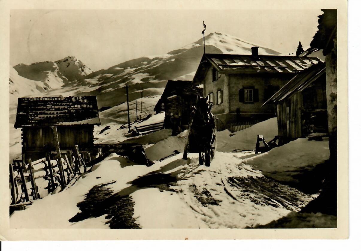 Cartes postales: Tigia – D'occasion à Hochdorf par Ziegel-16