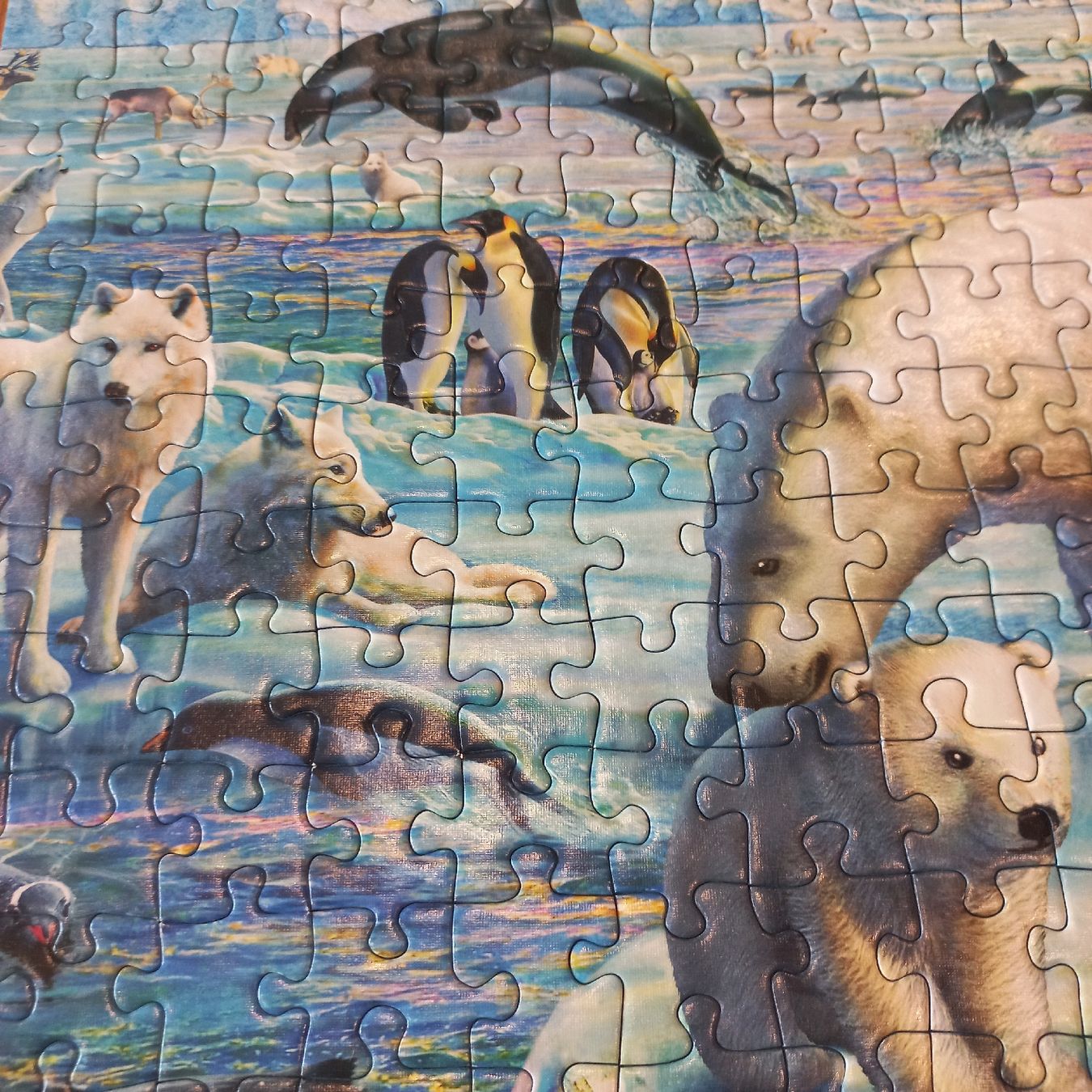Ravensburger Puzzles: Ravensburger Puzzle 2×300 pièces  – Neu (gemäss Beschreibung) aus Dompierre FR von fat_xth5 7