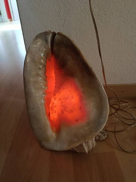 Lampen: Muschellampe – Gebraucht aus Adlikon b. Regensdorf von Gerie01 3