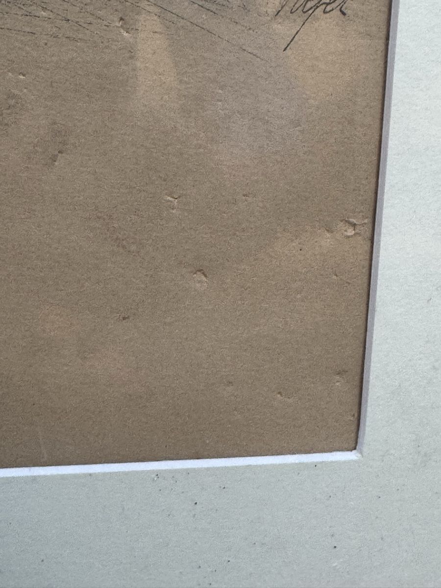 Dipinti: Disegno originale di Vogel con cornice in legno – Usato da Genève venduto da Atelier.Curio 2