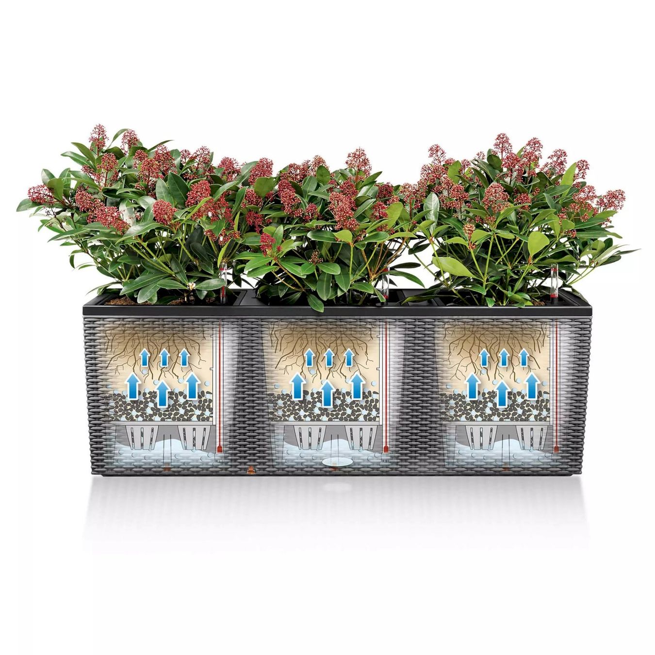 Vasi per fiori: Lechuza TRIO Cottage 40 weiß – Nuovo e nell'imballaggio originale da Bottighofen venduto da zaap 5