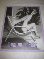 MARLYN  MONROE   BLECH   TAFEL