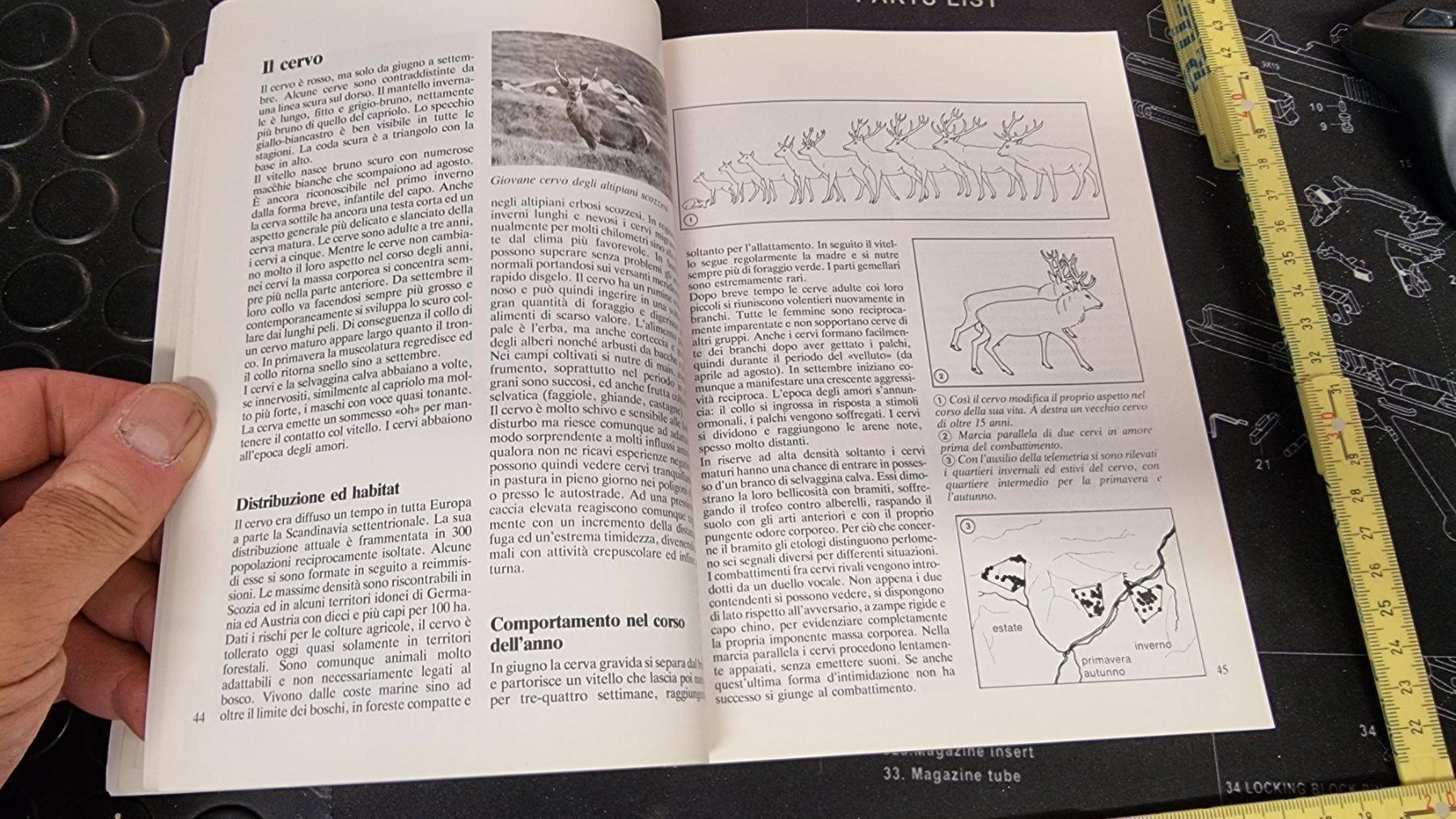 Bücher: BUCH.FAUNA E CACCIA SULLE ALPI – Gebraucht aus Cama von anto_a 5