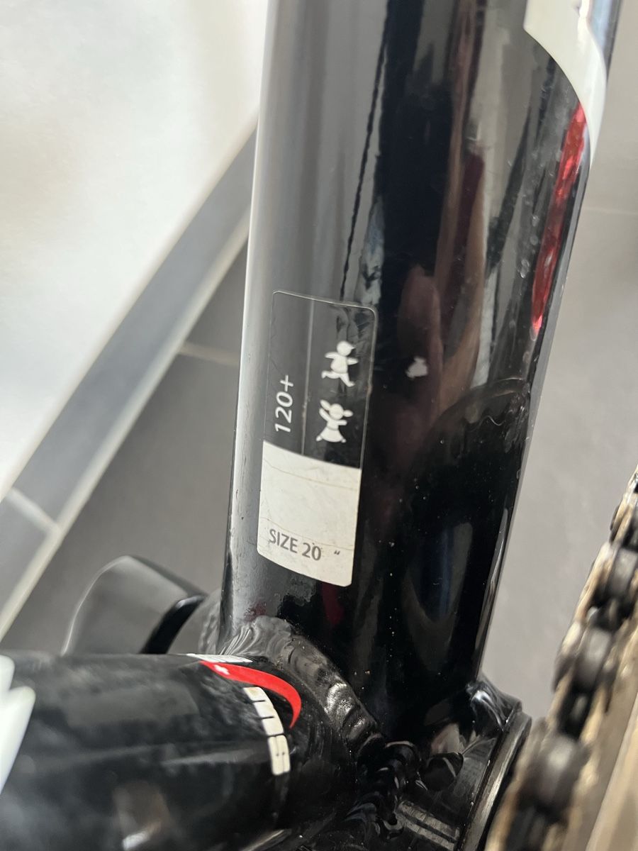 Velos: Kindervelo 20 Zoll Mustang – Gebraucht aus Rottenschwil von gle81 7
