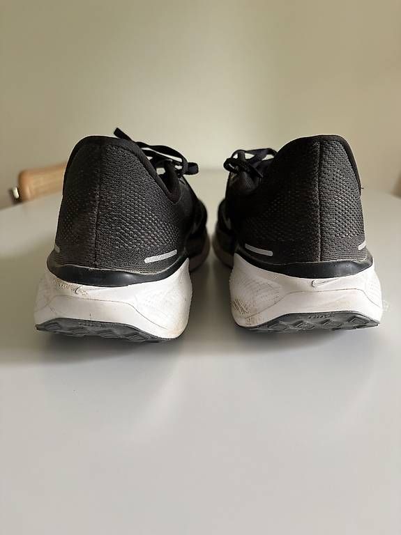 Nike Herrenschuhe: Nike Pegasus 41 – Gebraucht aus Bern von lucaska 1