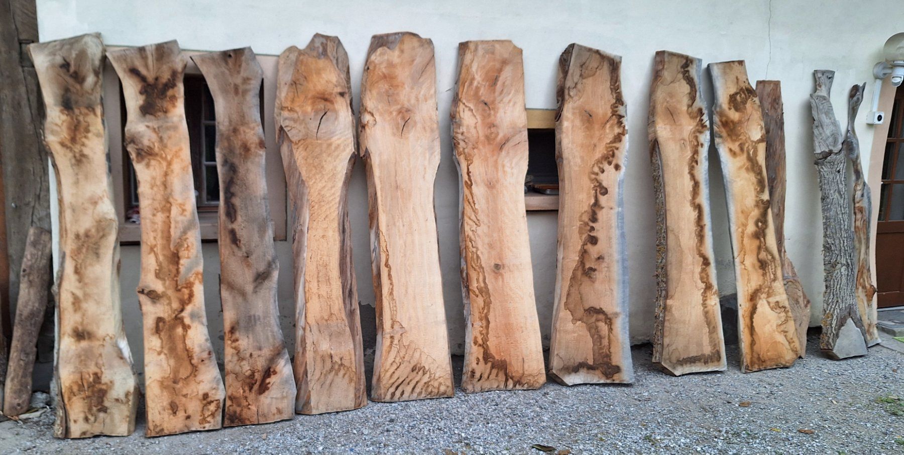 Articoli in legno: planche de noyer – Nuovo (secondo la descrizione) da Bussy FR venduto da 023