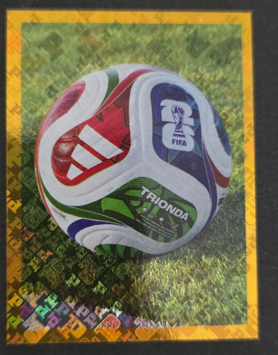 Panini Sammelbilder & Trading cards: FWC 5- Panini  – Gebraucht aus St. Gallen von Shelly__x3