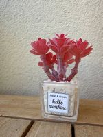 Pflanze für Puppenhaus oder Maileg Mäuse