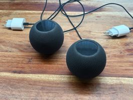 2× Apple HomePod mini Space Grau / Schwarz