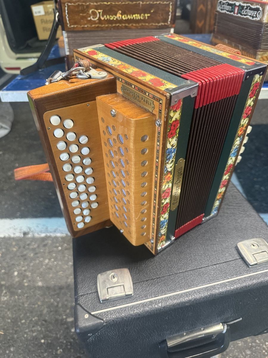 Strumenti musicali: Schwyzerògeli pauli – Usato da Muhen venduto da MiGeiss64 7