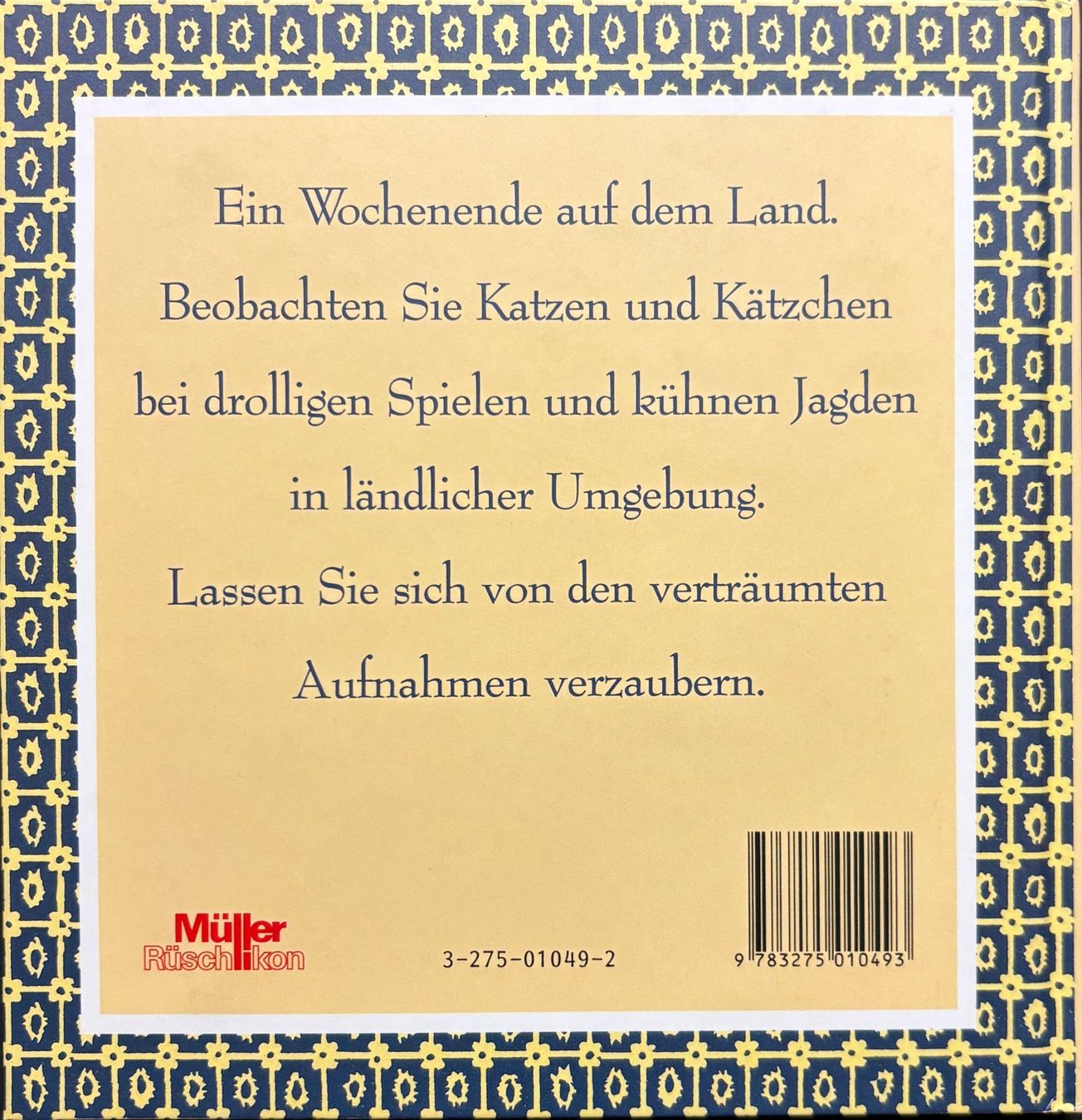 Libri: Katzen-Idylle – Nuovo (secondo la descrizione) da Sarnen venduto da Livres 1