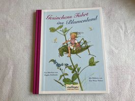 Gesinchens Fahrt ins Blumenland von Hagedis Hollriede Kin...
