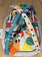 Baby Einstein Spielmatte mit Spielbogen