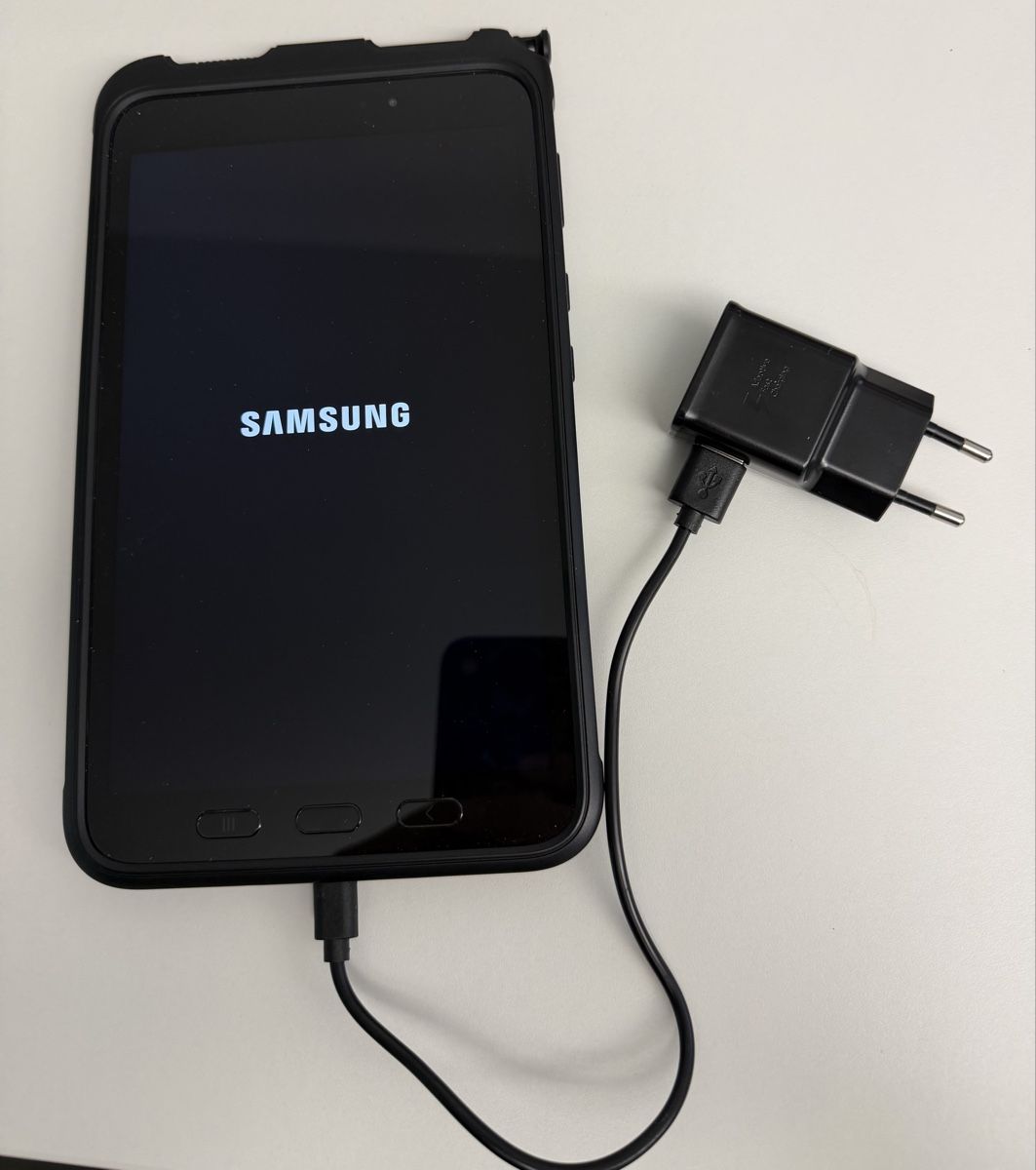 Samsung Tablet PC: Samsung Galaxy Tab Active3 – Usato da Locarno venduto da Sim229 1