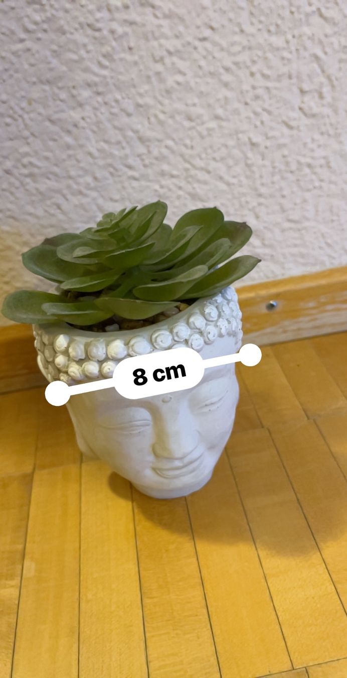 Plantes & graines: Planar Kunststoff  mit budda vase – D'occasion à Küssnacht am Rigi par ciucchino 1