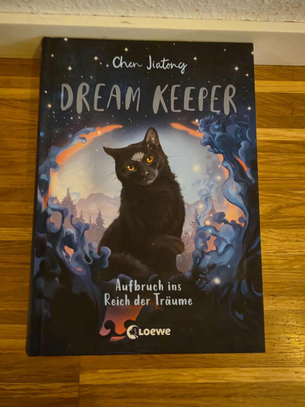 Libri: Lesebuch Dream Keeper – Usato da Winterthur venduto da mjo_sx26