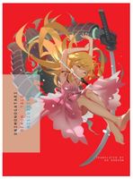 ONIMONOGATARI: Demon Tale – NISIOISIN – English