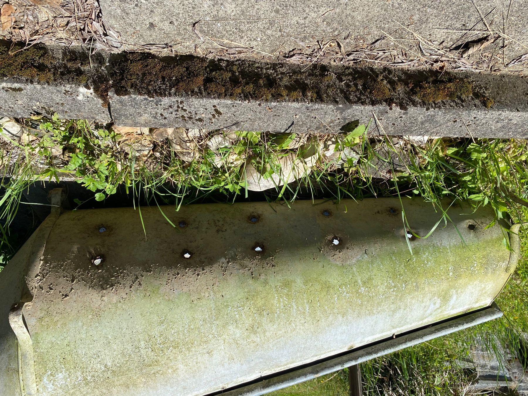 Altre Decorazioni per giardino: Zinkwanne – Usato da Gretzenbach venduto da Cantate 2
