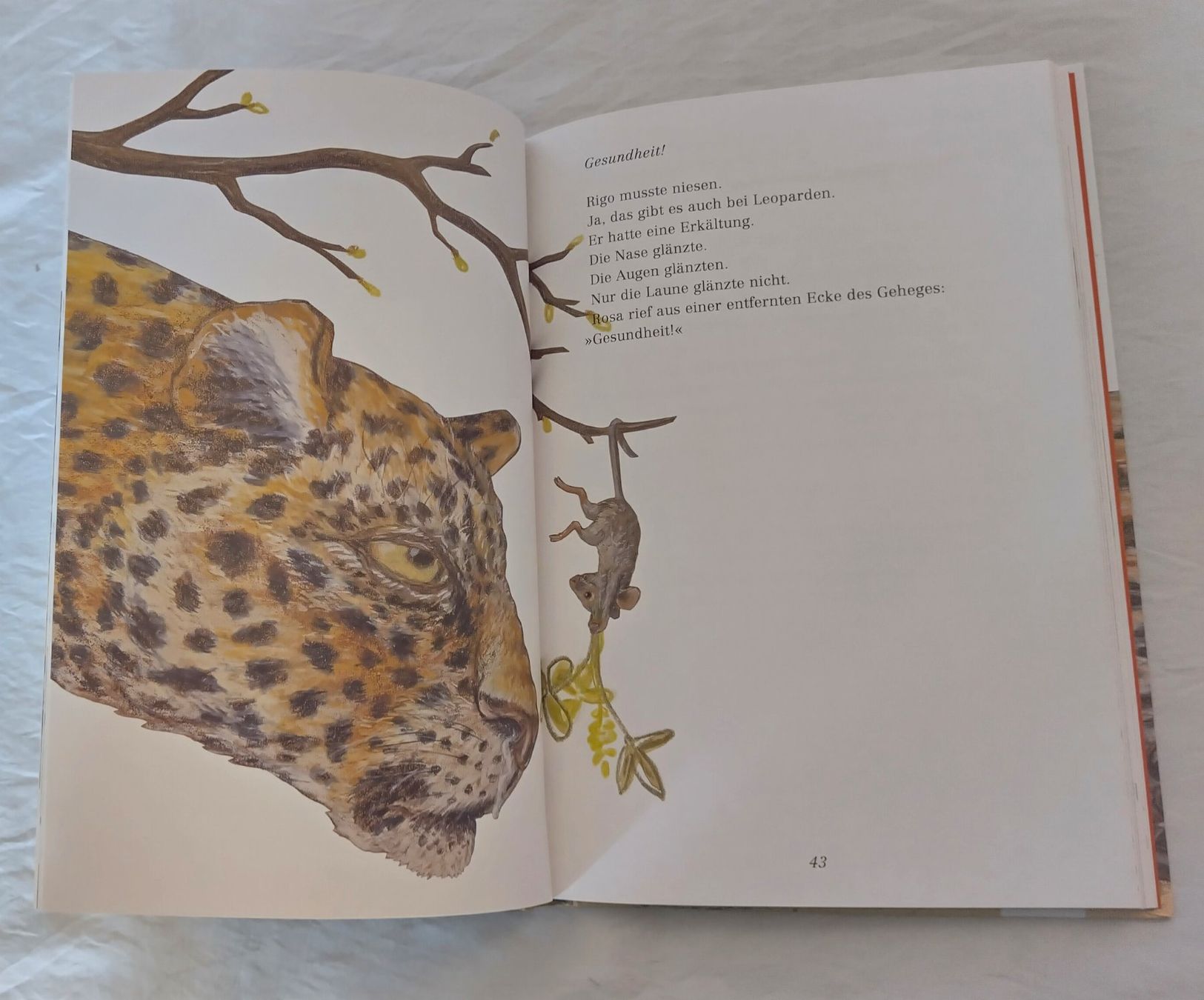 Libri: Rosa Maus und Rigo Leopard / Lorenz Pauli + Kathrin Schärer – Usato da Bellach venduto da JingleJerry 6