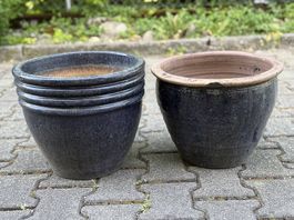 Blumentöpfe