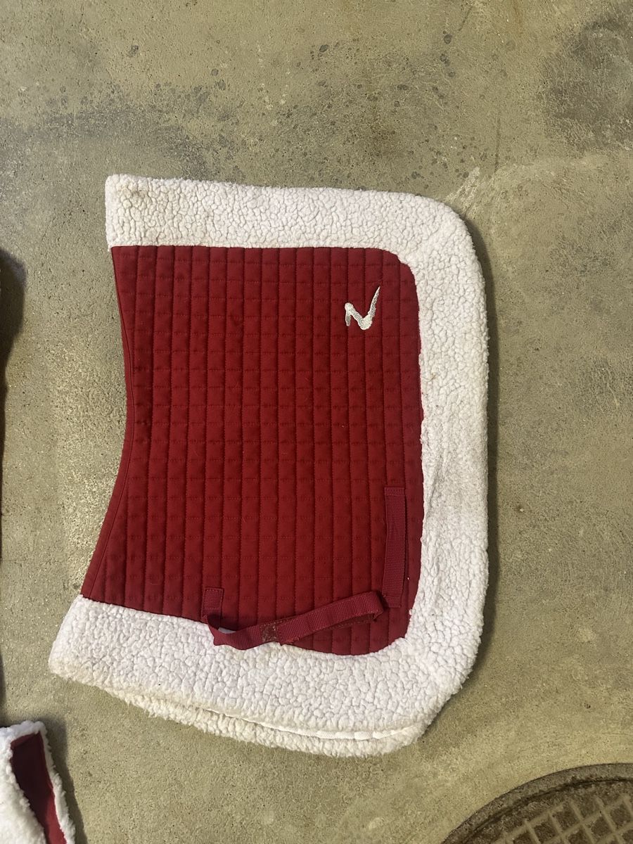 Coperte & Accessori: Horze Weihnachts set – Usato da Langenbruck venduto da Sam_Kraft 1