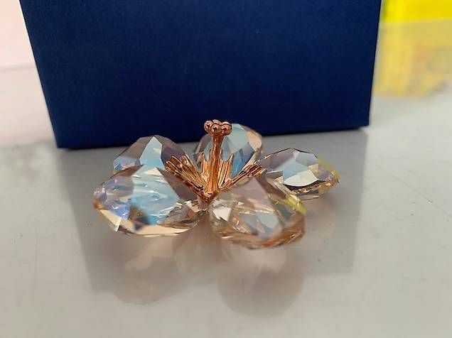 Swarovski Tutte le decorazioni: Swarovski Blume – Nuovo e nell'imballaggio originale da Veltheim AG venduto da rolo71