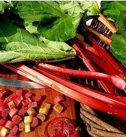 Ab 5.-fr! 3 Samen echter Rabarbar 🌱 3 graines vrai Rabarber