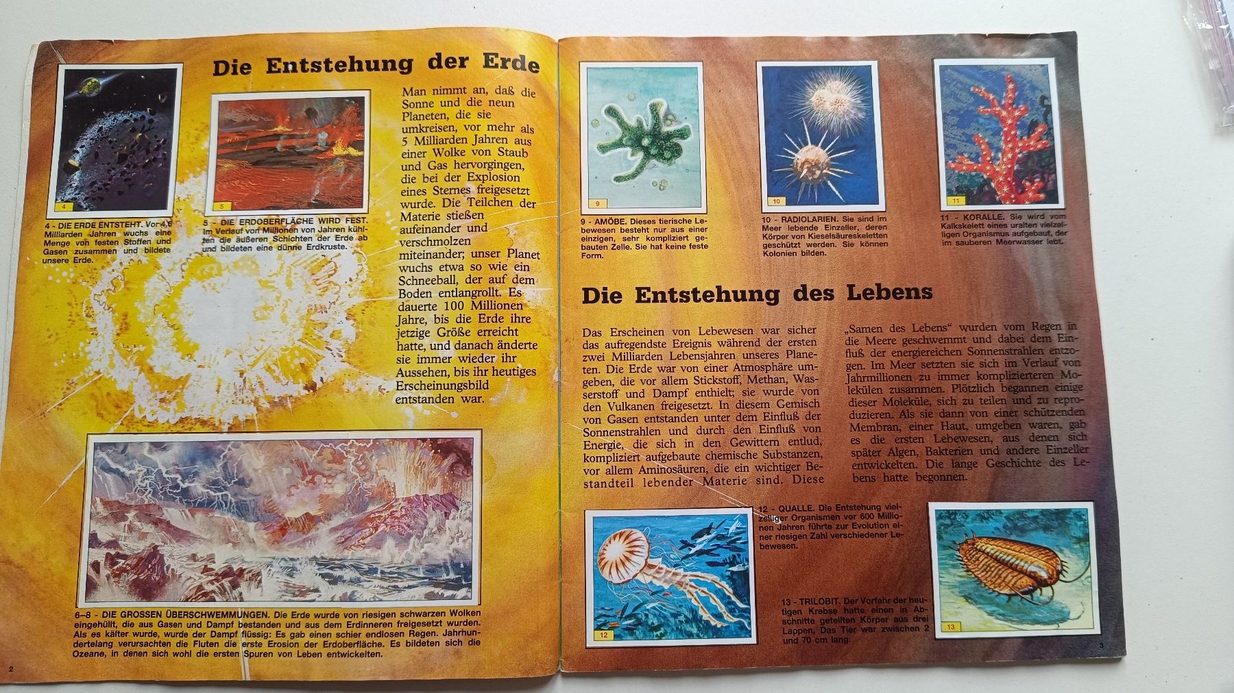Panini Album: Panini - Tiere Der Urzeit - 1992 - Komplett – Usato da Safenwil venduto da mongge36 1