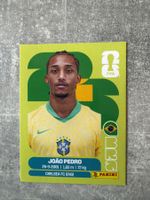 Panini João Pedro BRA16