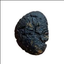 Profile image of Moldavitsammler