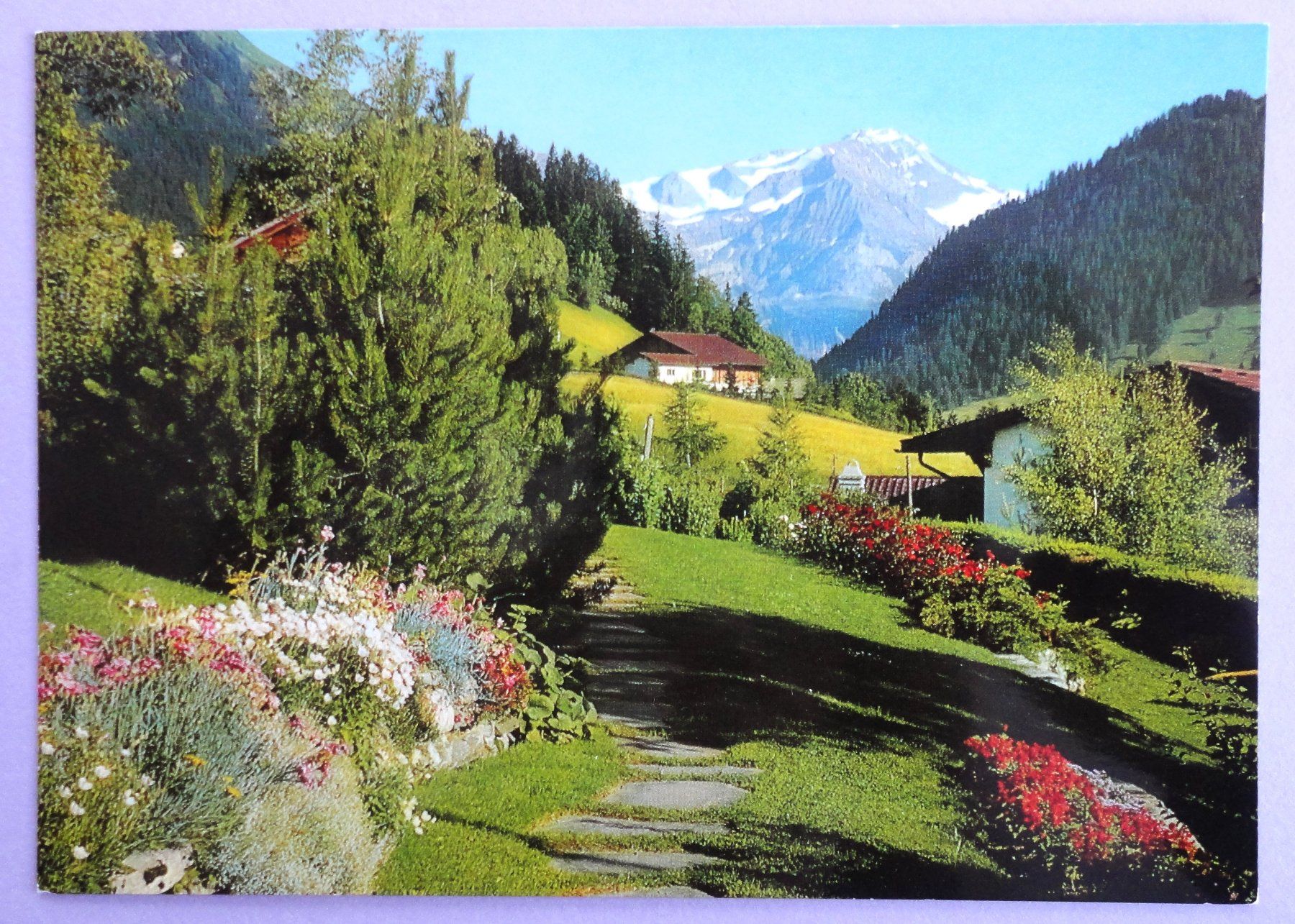 Cartoline postali: Gstaad, Wildhorn – Usato da Fétigny venduto da Billy2miny