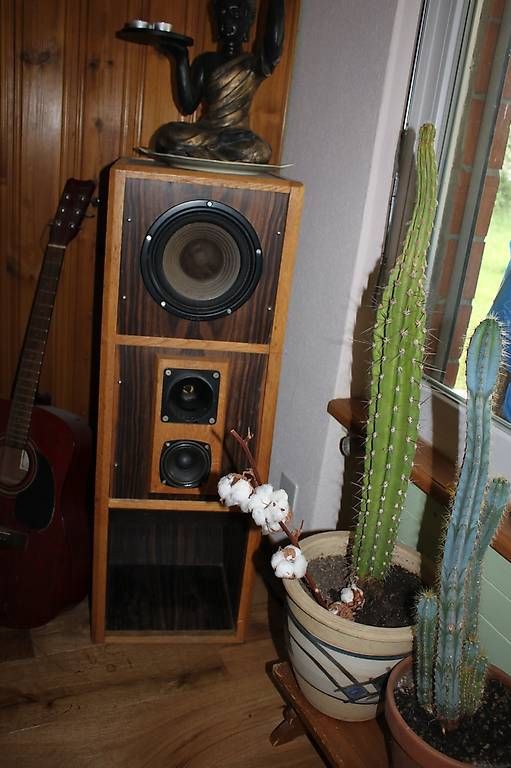 Casse acustiche: Lautsprecher der besonderen Art.... – Usato da Uttwil venduto da meintoeff 1