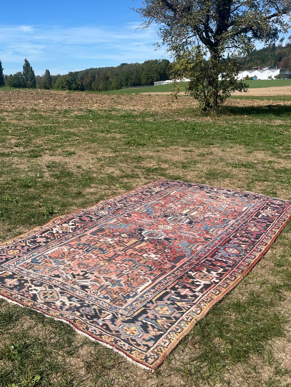 Tappeti: Orient Teppich Handgeknüpft – Usato da Allmendingen b. BE venduto da juair 3