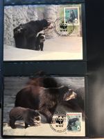 WWF Bolivien 1991 Satz Brillenbär Maximumkarten