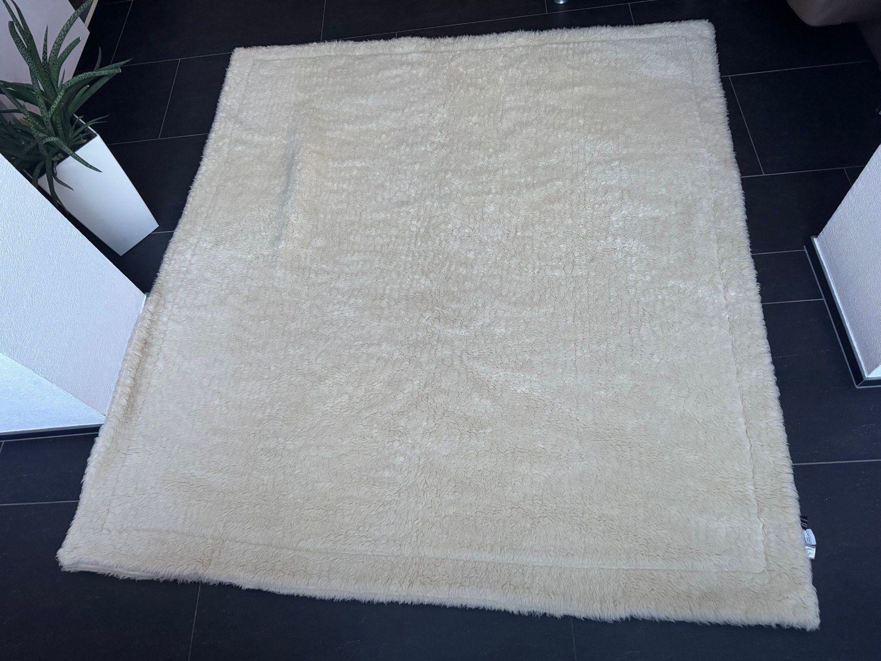 Coperte: Schöne Bettdecke Kaschmir/Toscana-Lamm – Usato da Schnaus venduto da sueg01